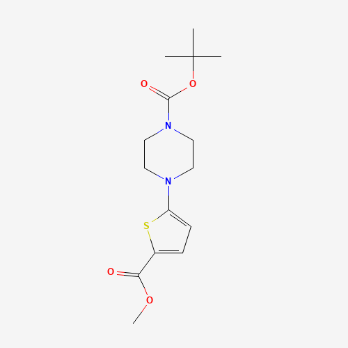 tert-butyl 4-(5-methoxycarbonylthiophen-2-yl)piperazine-1-carboxylate (CAS: 201811-62-3) - Related Chemical Product