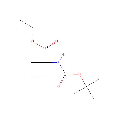 ethyl 1-[(2-methylpropan-2-yl)oxycarbonylamino]cyclobutane-1-carboxylate (CAS: 163554-54-9) - Related Chemical Product