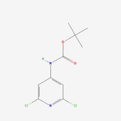 tert-butyl N-(2,6-dichloropyridin-4-yl)carbamate (CAS: 501907-61-5) - Related Chemical Product