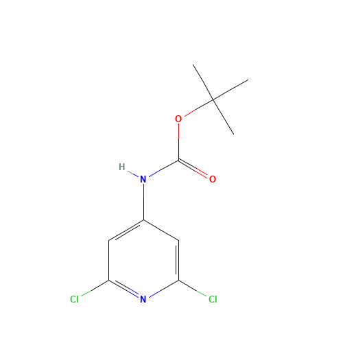tert-butyl N-(2,6-dichloropyridin-4-yl)carbamate (CAS: 501907-61-5) - Related Chemical Product