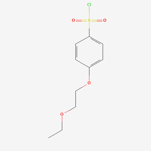 4-(2-ethoxyethoxy)benzenesulfonyl chloride (CAS: 264624-20-6) - Related Chemical Product
