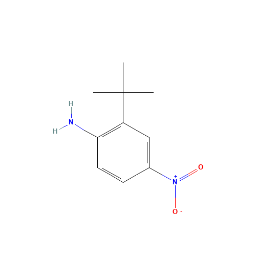 2-tert-butyl-4-nitroaniline (CAS: 59255-98-0) - Related Chemical Product