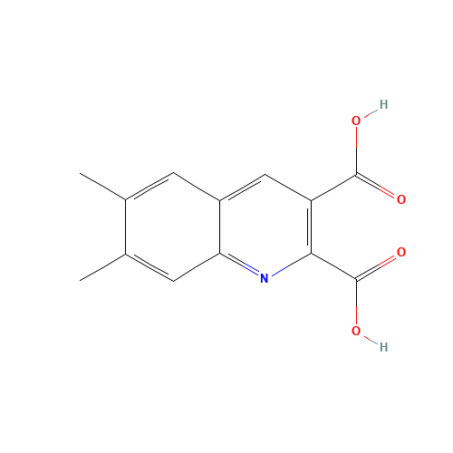 6,7-dimethylquinoline-2,3-dicarboxylic acid (CAS: 948294-45-9) - Related Chemical Product