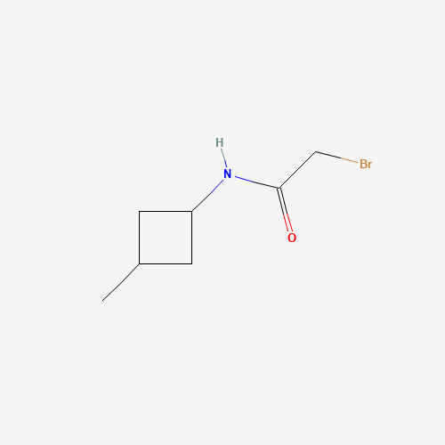 2-bromo-N-(3-methylcyclobutyl)acetamide (CAS: 1284245-16-4) - Related Chemical Product