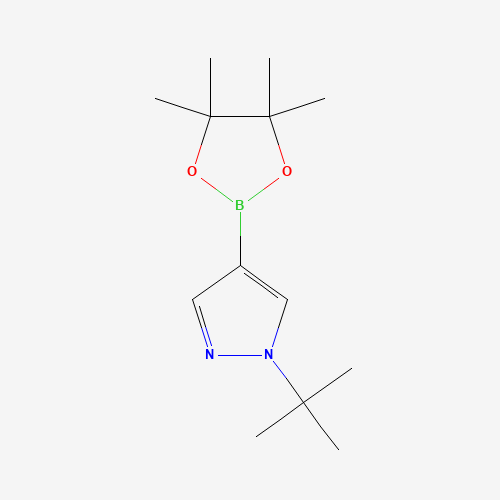 1-tert-butyl-4-(4,4,5,5-tetramethyl-1,3,2-dioxaborolan-2-yl)pyrazole (CAS: 1256359-15-5) - Related Chemical Product