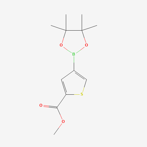 methyl 4-(4,4,5,5-tetramethyl-1,3,2-dioxaborolan-2-yl)thiophene-2-carboxylate (CAS: 709648-80-6) - Chemical Structure and Molecular Formula 