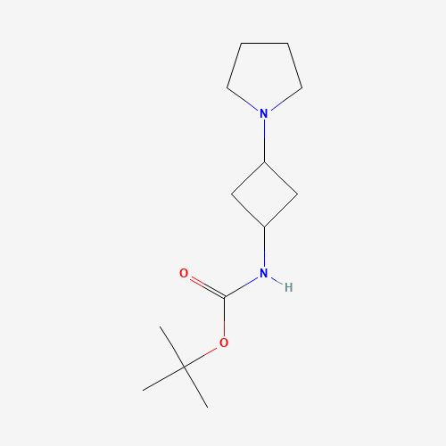 tert-butyl N-(3-pyrrolidin-1-ylcyclobutyl)carbamate (CAS: 1246739-82-1) - Related Chemical Product