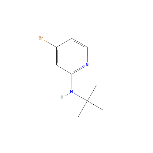 4-bromo-N-tert-butylpyridin-2-amine (CAS: 1256819-02-9) - Related Chemical Product