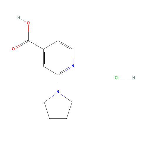 2-pyrrolidin-1-ylpyridine-4-carboxylic acid;hydrochloride (CAS: 1187932-62-2) - Related Chemical Product