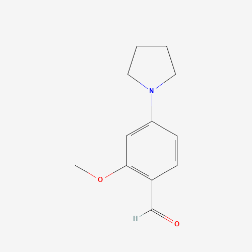 2-methoxy-4-pyrrolidin-1-ylbenzaldehyde (CAS: 96649-00-2) - Related Chemical Product