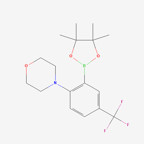 4-[2-(4,4,5,5-tetramethyl-1,3,2-dioxaborolan-2-yl)-4-(trifluoromethyl)phenyl]morpholine (CAS: 906352-77-0) - Related Chemical Product