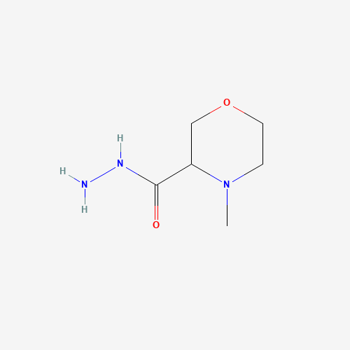 4-methylmorpholine-3-carbohydrazide (CAS: 1387638-80-3) - Related Chemical Product