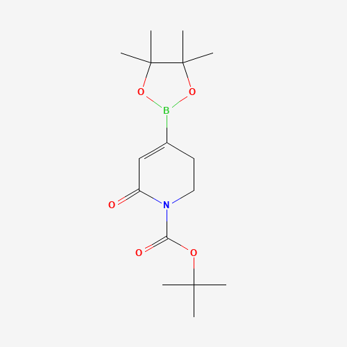 tert-butyl 6-oxo-4-(4,4,5,5-tetramethyl-1,3,2-dioxaborolan-2-yl)-2,3-dihydropyridine-1-carboxylate (CAS: 1345469-26-2) - Related Chemical Product