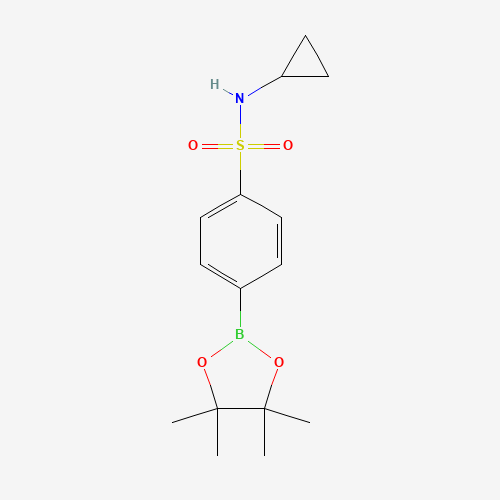 N-cyclopropyl-4-(4,4,5,5-tetramethyl-1,3,2-dioxaborolan-2-yl)benzenesulfonamide (CAS: 914610-50-7) - Related Chemical Product