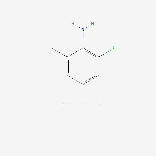 4-tert-butyl-2-chloro-6-methylaniline (CAS: 155765-17-6) - Related Chemical Product