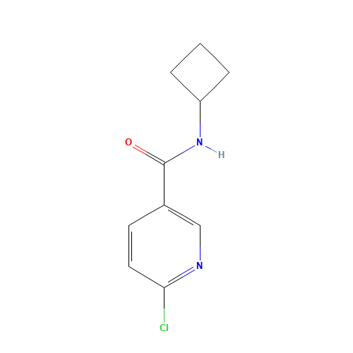 6-chloro-N-cyclobutylpyridine-3-carboxamide (CAS: 585544-24-7) - Chemical Structure and Molecular Formula 