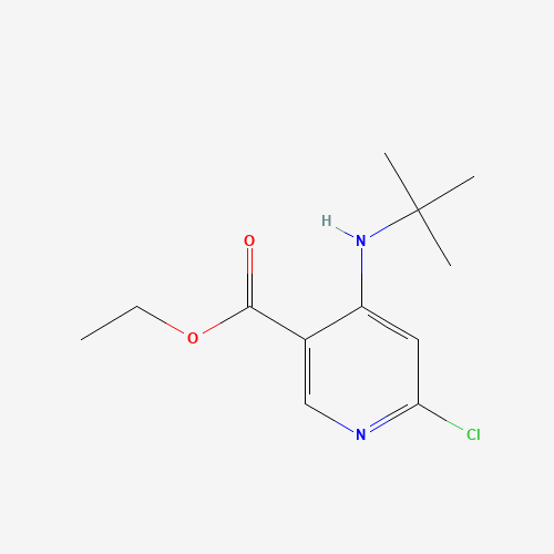 ethyl 4-(tert-butylamino)-6-chloropyridine-3-carboxylate (CAS: 1011464-28-0) - Related Chemical Product
