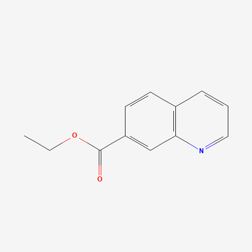 ethyl quinoline-7-carboxylate (CAS: 104294-00-0) - Related Chemical Product