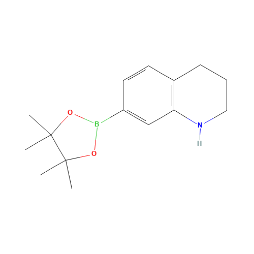 7-(4,4,5,5-tetramethyl-1,3,2-dioxaborolan-2-yl)-1,2,3,4-tetrahydroquinoline (CAS: 1235142-07-0) - Related Chemical Product