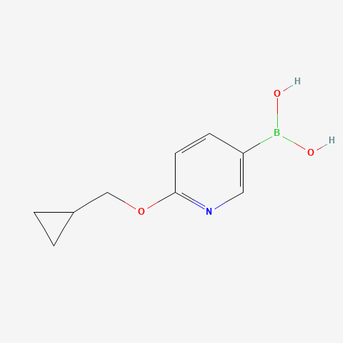 [6-(cyclopropylmethoxy)pyridin-3-yl]boronic acid (CAS: 1028749-31-6) - Related Chemical Product