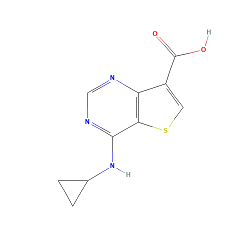 4-(cyclopropylamino)thieno[3,2-d]pyrimidine-7-carboxylic acid (CAS: 1318242-88-4) - Chemical Structure and Molecular Formula 