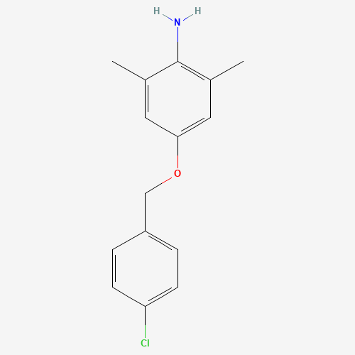 4-[(4-chlorophenyl)methoxy]-2,6-dimethylaniline (CAS: 1202160-84-6) - Related Chemical Product