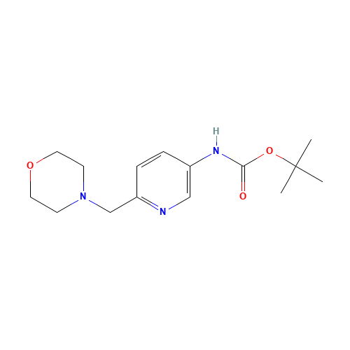 tert-butyl N-[6-(morpholin-4-ylmethyl)pyridin-3-yl]carbamate (CAS: 1203486-73-0) - Related Chemical Product