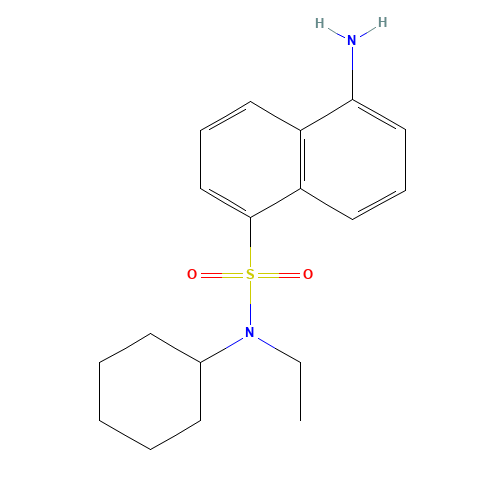 5-amino-N-cyclohexyl-N-ethylnaphthalene-1-sulfonamide (CAS: 179955-58-9) - Related Chemical Product