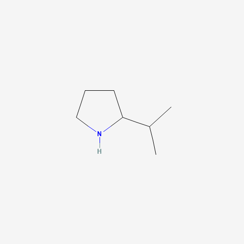 2-propan-2-ylpyrrolidine (CAS: 51503-10-7) - Related Chemical Product