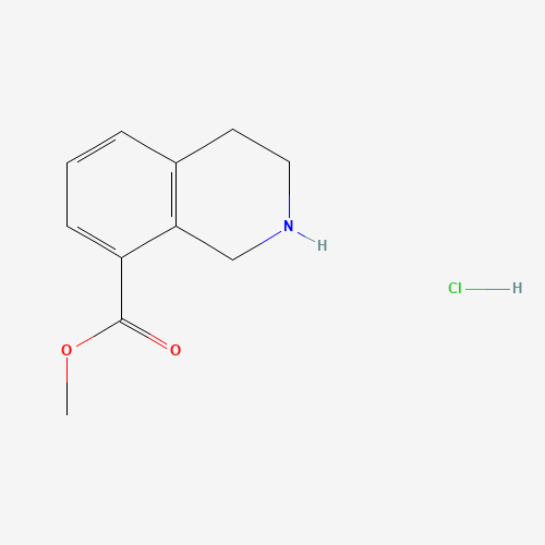 methyl 1,2,3,4-tetrahydroisoquinoline-8-carboxylate;hydrochloride (CAS: 1029689-82-4) - Related Chemical Product