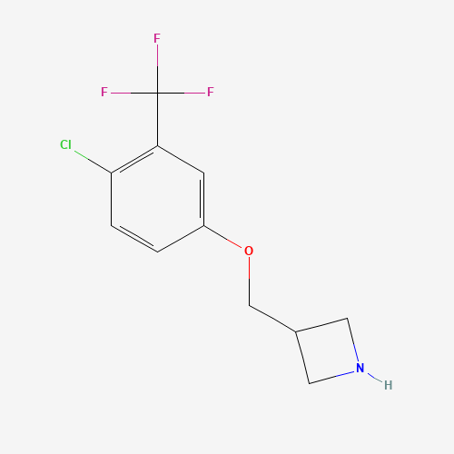 3-[[4-chloro-3-(trifluoromethyl)phenoxy]methyl]azetidine (CAS: 1332301-44-6) - Chemical Structure and Molecular Formula 