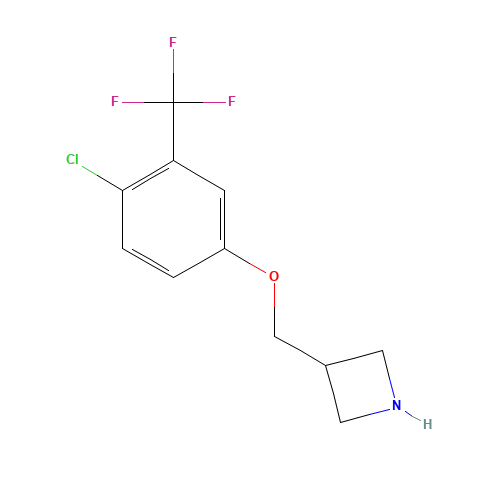 3-[[4-chloro-3-(trifluoromethyl)phenoxy]methyl]azetidine (CAS: 1332301-44-6) - Related Chemical Product