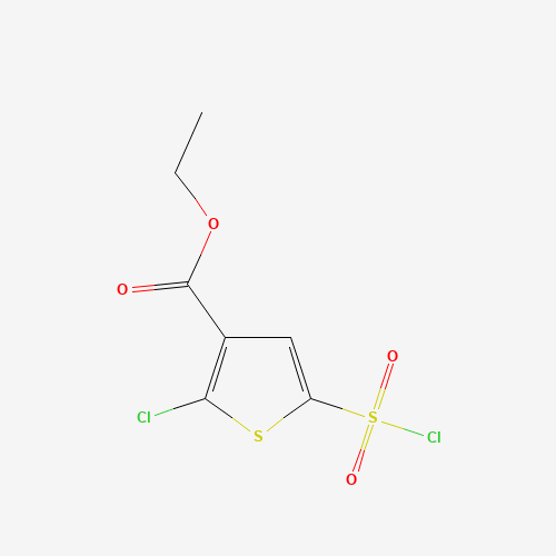ethyl 2-chloro-5-chlorosulfonylthiophene-3-carboxylate (CAS: 1245643-45-1) - Related Chemical Product