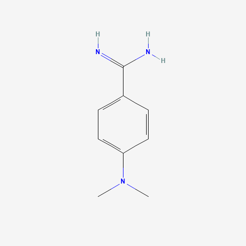 4-(dimethylamino)benzenecarboximidamide (CAS: 55978-60-4) - Related Chemical Product