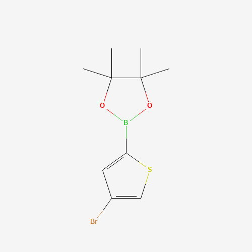 2-(4-bromothiophen-2-yl)-4,4,5,5-tetramethyl-1,3,2-dioxaborolane (CAS: 942070-06-6) - Related Chemical Product