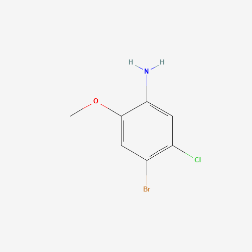 4-bromo-5-chloro-2-methoxyaniline (CAS: 102170-53-6) - Related Chemical Product