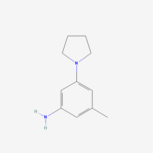 3-methyl-5-pyrrolidin-1-ylaniline (CAS: 1335496-78-0) - Related Chemical Product