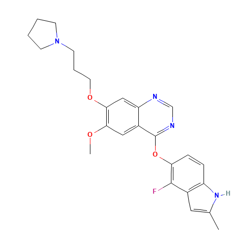 4-[(4-fluoro-2-methyl-1H-indol-5-yl)oxy]-6-methoxy-7-(3-pyrrolidin-1-ylpropoxy)quinazoline (CAS: 288383-20-0) - Related Chemical Product