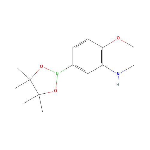 6-(4,4,5,5-tetramethyl-1,3,2-dioxaborolan-2-yl)-3,4-dihydro-2H-1,4-benzoxazine (CAS: 1155264-46-2) - Related Chemical Product