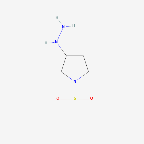 (1-methylsulfonylpyrrolidin-3-yl)hydrazine (CAS: 1393608-26-8) - Related Chemical Product