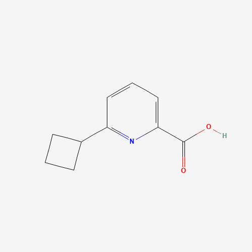 6-cyclobutylpyridine-2-carboxylic acid (CAS: 1443759-37-2) - Related Chemical Product