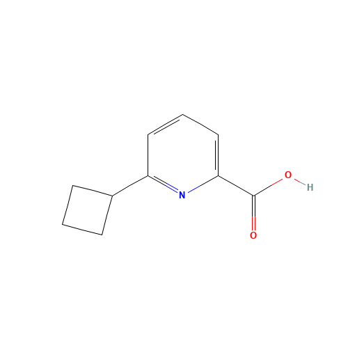 6-cyclobutylpyridine-2-carboxylic acid (CAS: 1443759-37-2) - Related Chemical Product