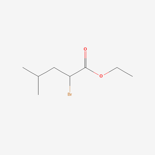 ethyl 2-bromo-4-methylpentanoate (CAS: 35657-97-7) - Related Chemical Product