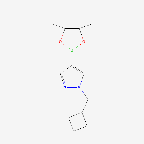 1-(cyclobutylmethyl)-4-(4,4,5,5-tetramethyl-1,3,2-dioxaborolan-2-yl)pyrazole (CAS: 1233526-47-0) - Related Chemical Product