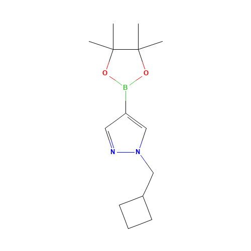 1-(cyclobutylmethyl)-4-(4,4,5,5-tetramethyl-1,3,2-dioxaborolan-2-yl)pyrazole (CAS: 1233526-47-0) - Related Chemical Product