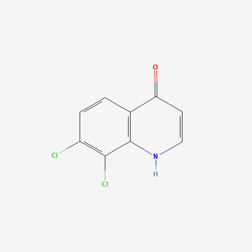 7,8-dichloro-1H-quinolin-4-one (CAS: 871217-91-3) - Related Chemical Product
