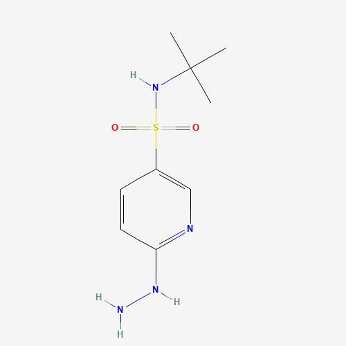 N-tert-butyl-6-hydrazinylpyridine-3-sulfonamide (CAS: 926262-36-4) - Related Chemical Product