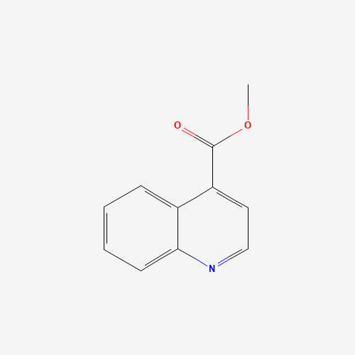 methyl quinoline-4-carboxylate (CAS: 21233-61-4) - Related Chemical Product
