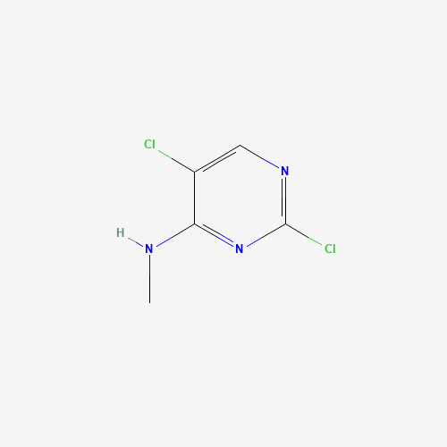 2,5-dichloro-N-methylpyrimidin-4-amine (CAS: 940927-35-5) - Related Chemical Product