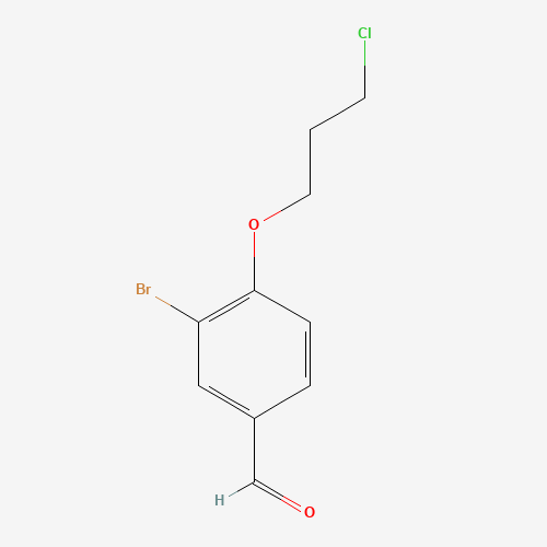 3-bromo-4-(3-chloropropoxy)benzaldehyde (CAS: 628711-44-4) - Related Chemical Product